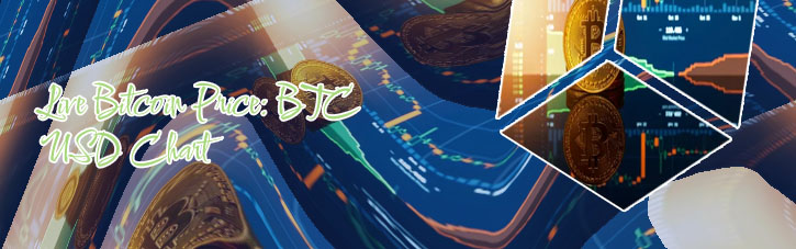Bitcoin chart real time