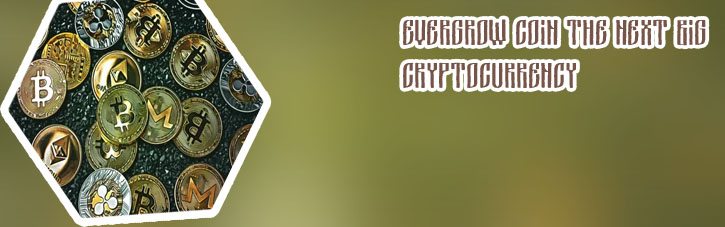 Evergrow crypto price coingecko