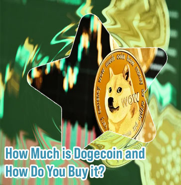 If i buy $100 of dogecoin