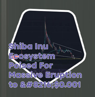 What is shibusd crypto